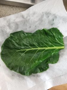 collard green drying on a paper towel 