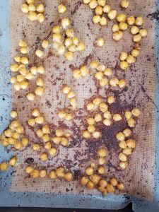 garlic roasted chickpeas on a cookie sheet after baking
