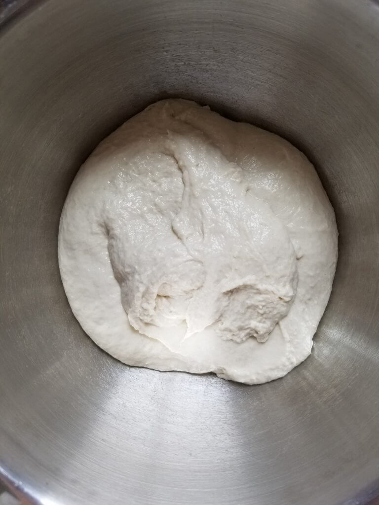 ciabatta bread dough in a bowl before rising 
