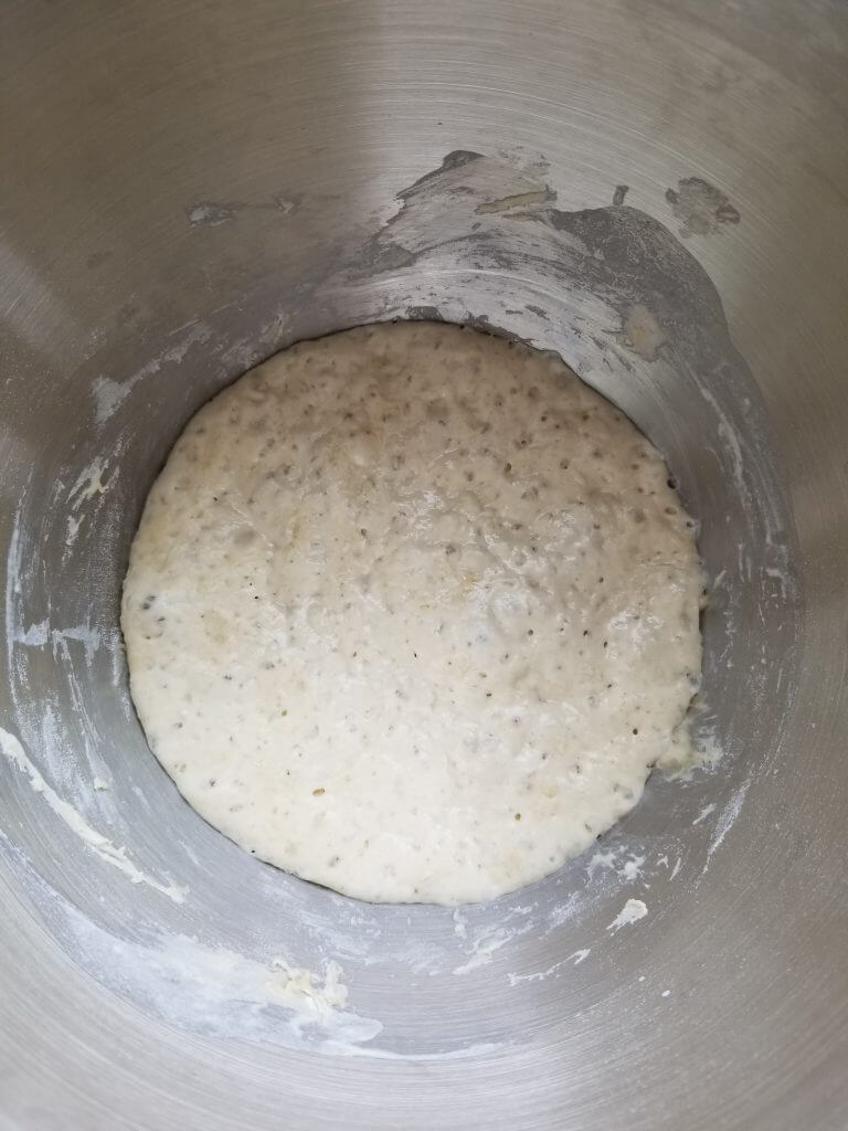 bread sponge after it is fermented