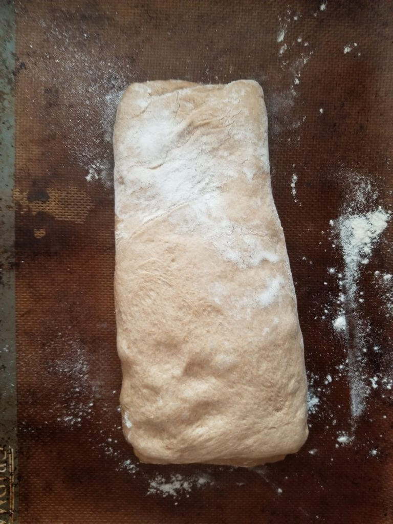 whole wheat ciabatta bread final proof before it gets baked in the oven